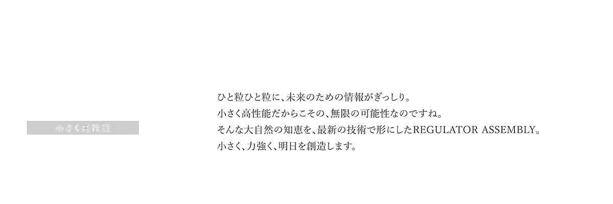 医療用減圧弁 COMPACT 小さく高性能 ひと粒ひと粒に、未来のための情報がぎっしり。小さく高性能だからこその、無限の可能性なのですね。そんな大自然の知恵を、最新の技術で形にした REGULATOR ASSEMBLY。小さく、力強く、明日を創造します。